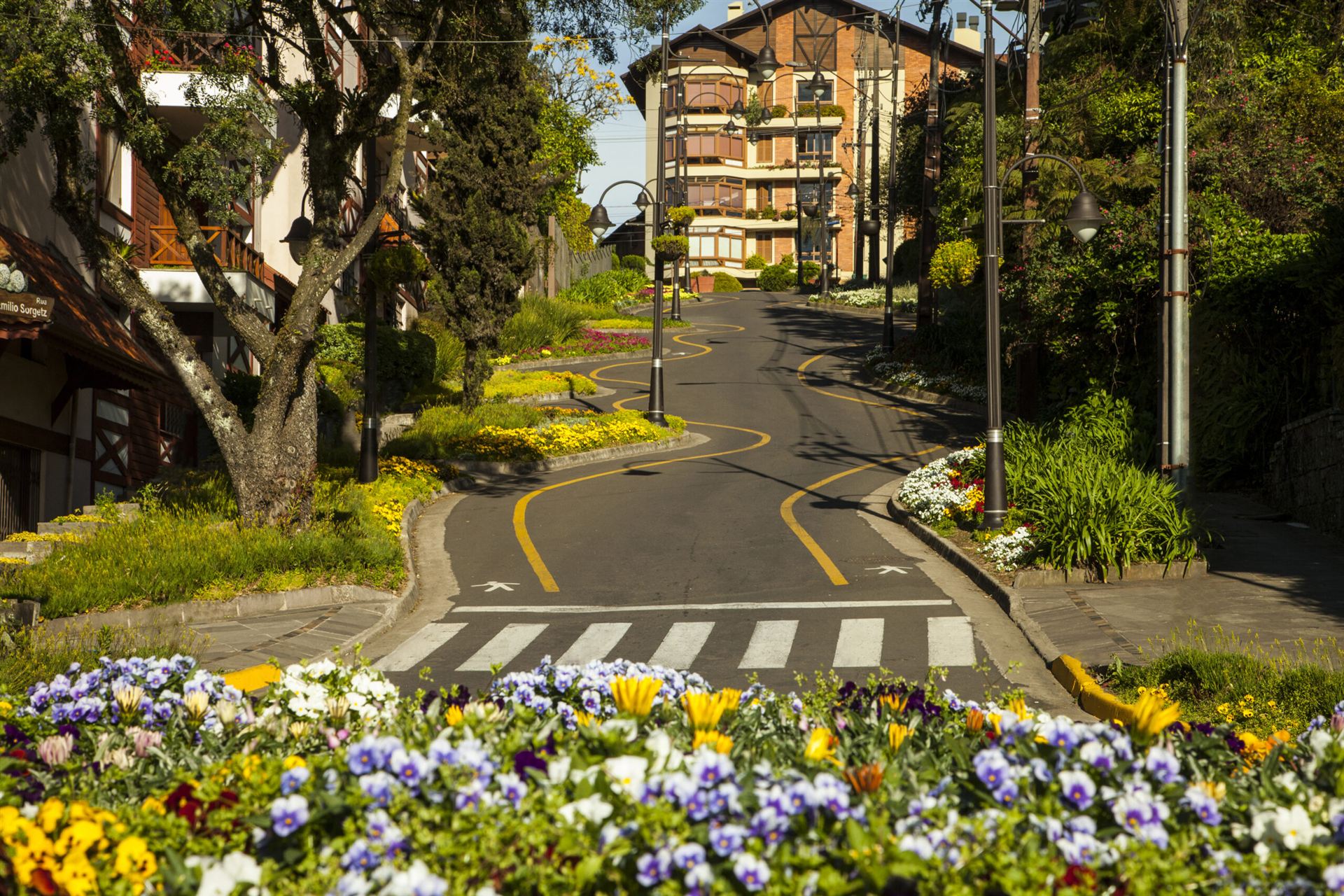 Rua Torta